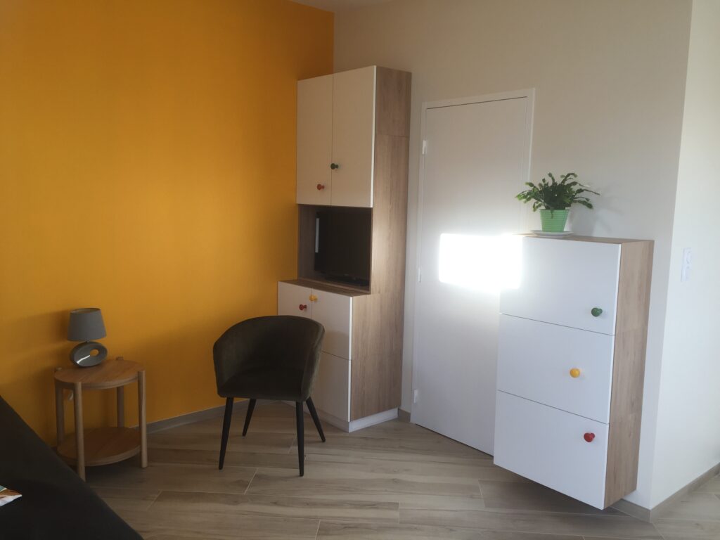 Coin salon, rangements, télévision, fauteuil