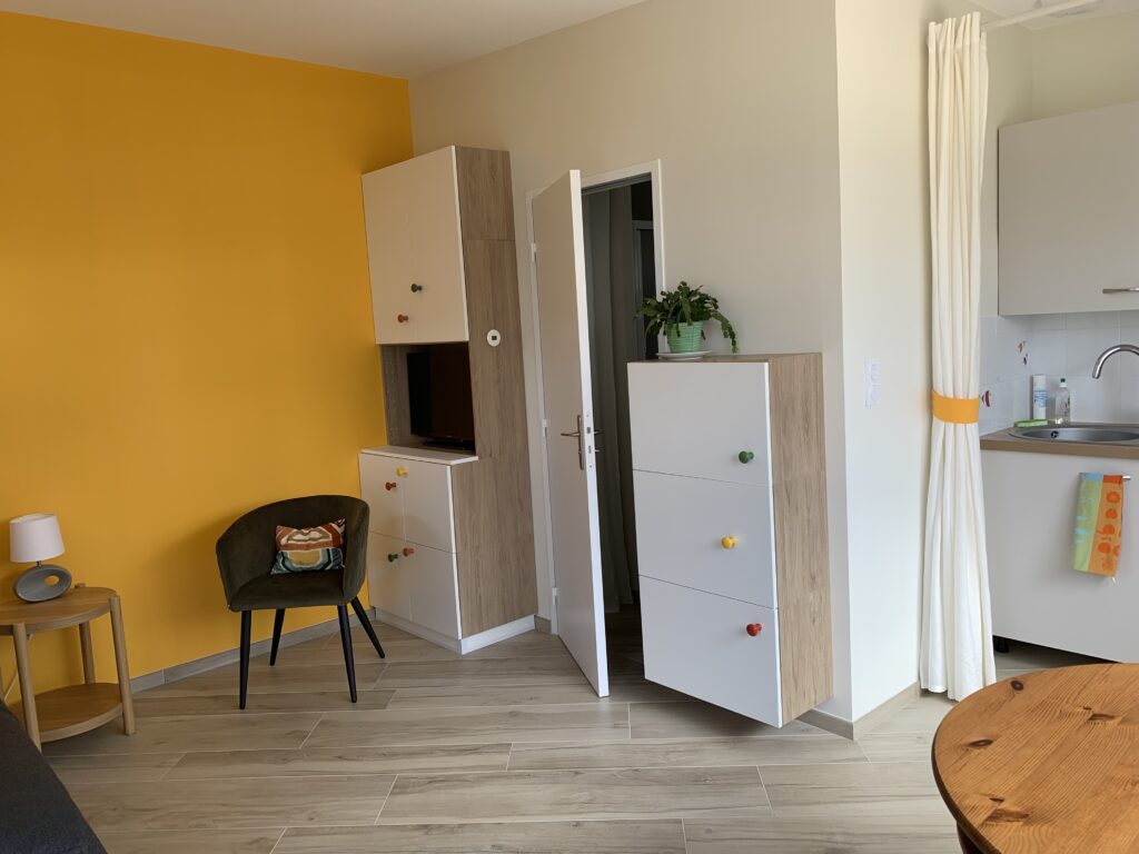 salon, télévision, jeux, livres, documentation, wifi, fauteuil, table de chevet, lampe de chevet, plante