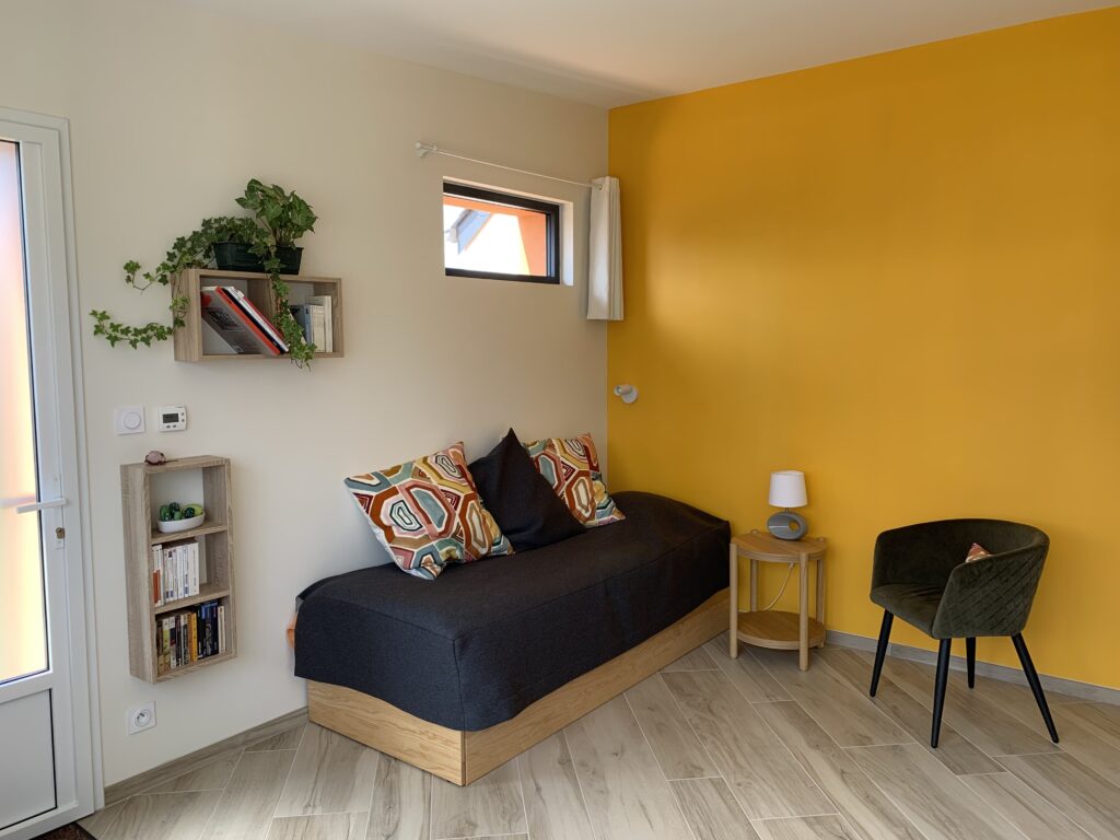 salon, lumineux, imposte, plante, livres, canapé, coussins, confort, fauteuil, table basse, lampe, applique, rideau